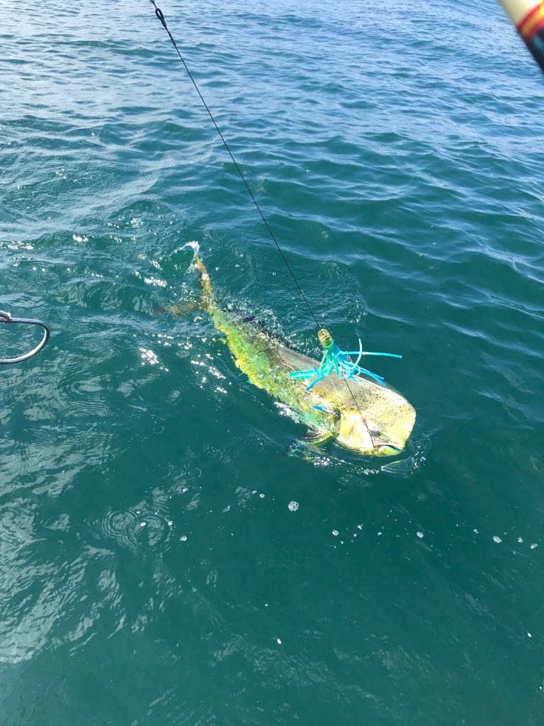 Fishing Tour - Image 3